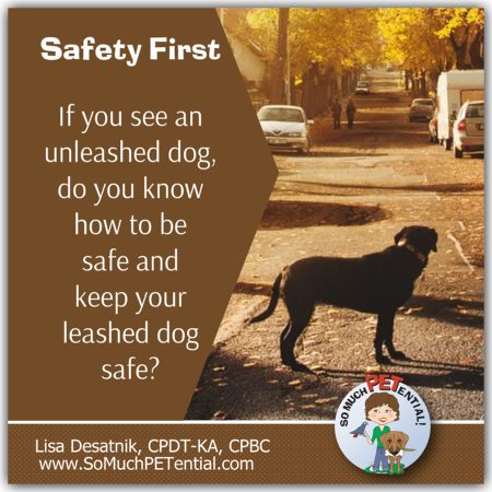 If you see an unleashed dog when you are walking your dog, do you know what to do? Cincinnati Certified Dog Trainer Lisa Desatnik shares dog safety and dog bite prevention tips if you are approached on a walk by an unleashed or stray dog.