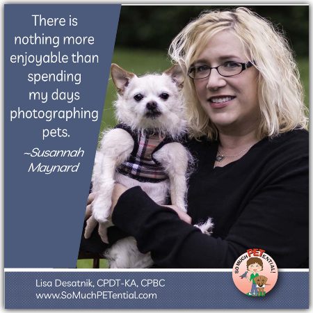 Spotlight on Susannah Maynard, publisher of CincyPet Magazine and owner of Pet Love Photography