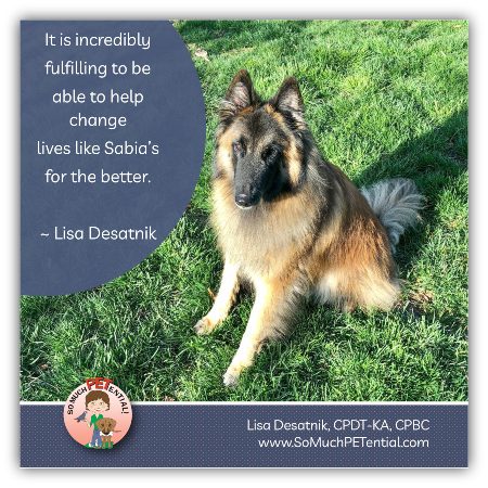 A reflection from dog trainer Lisa Desatnik on working with aggressive and fearful dogs