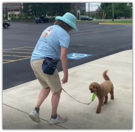 There are times when you are practicing loose leash walking with your dog that you may need to change direction. One of my directional cues is “This Way.”